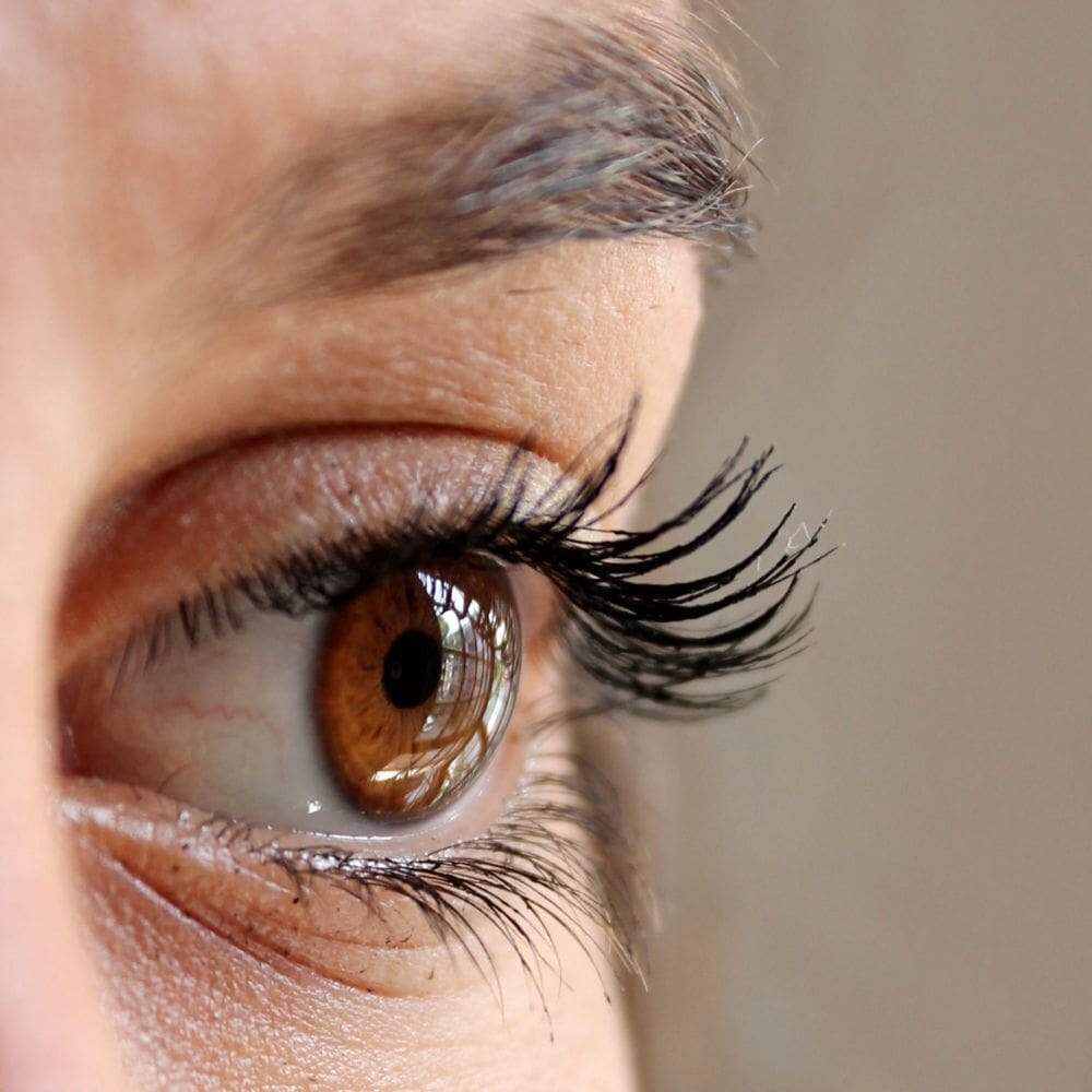 Guided Eye Movements (2) Guided Eye Movements